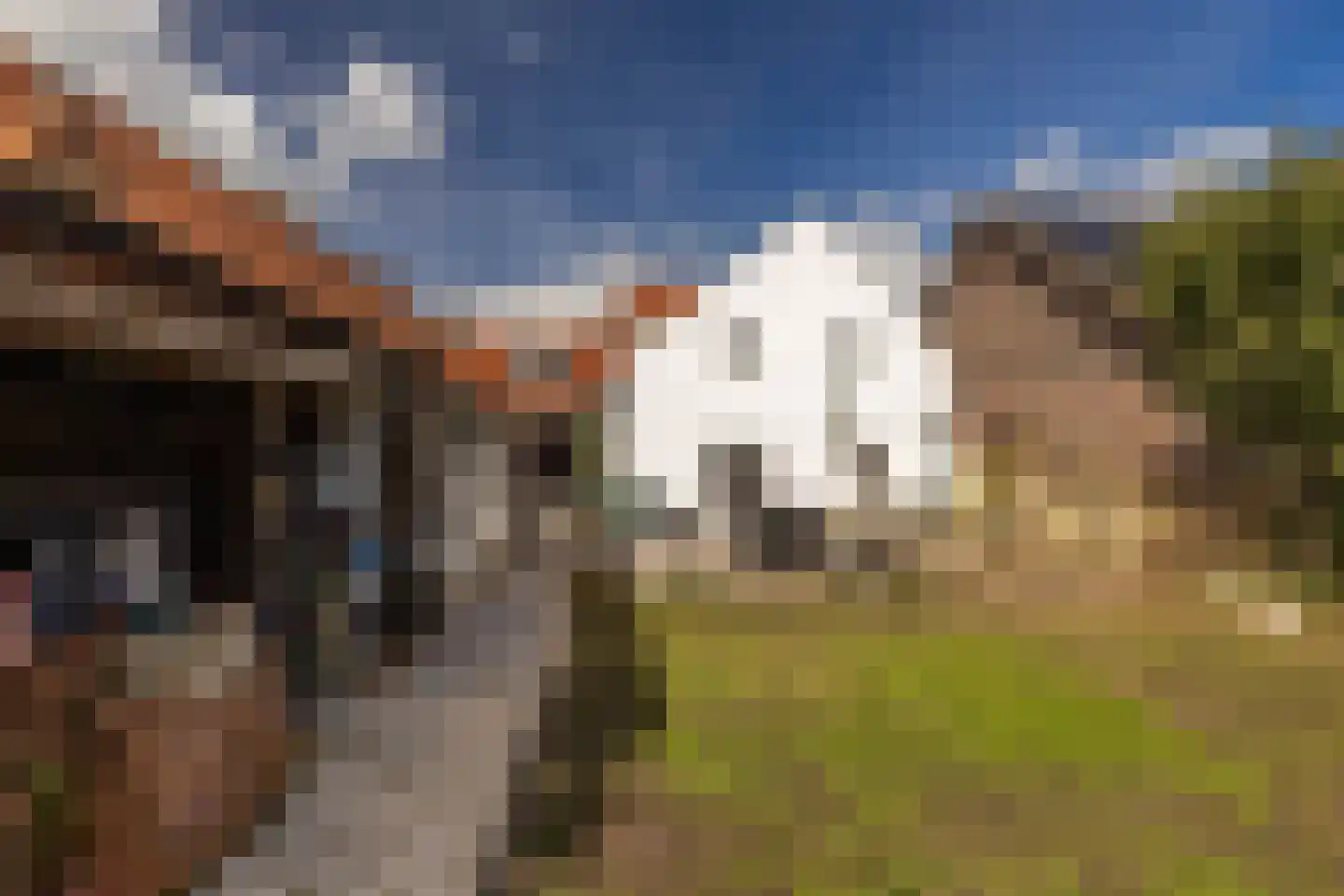 Haverterstraat 16 Nieuwstadt thumbnail 38