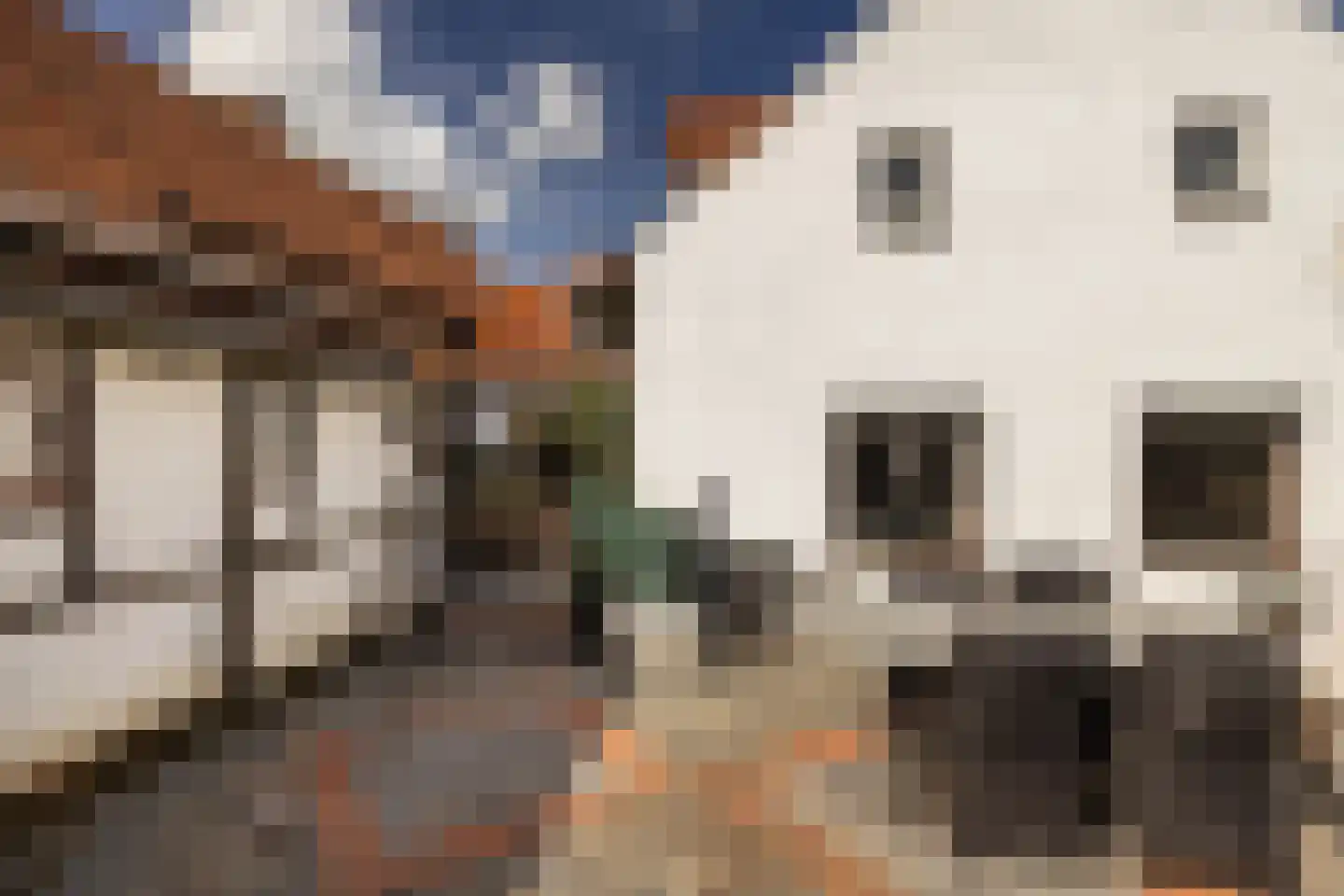 Haverterstraat 16 Nieuwstadt thumbnail 39