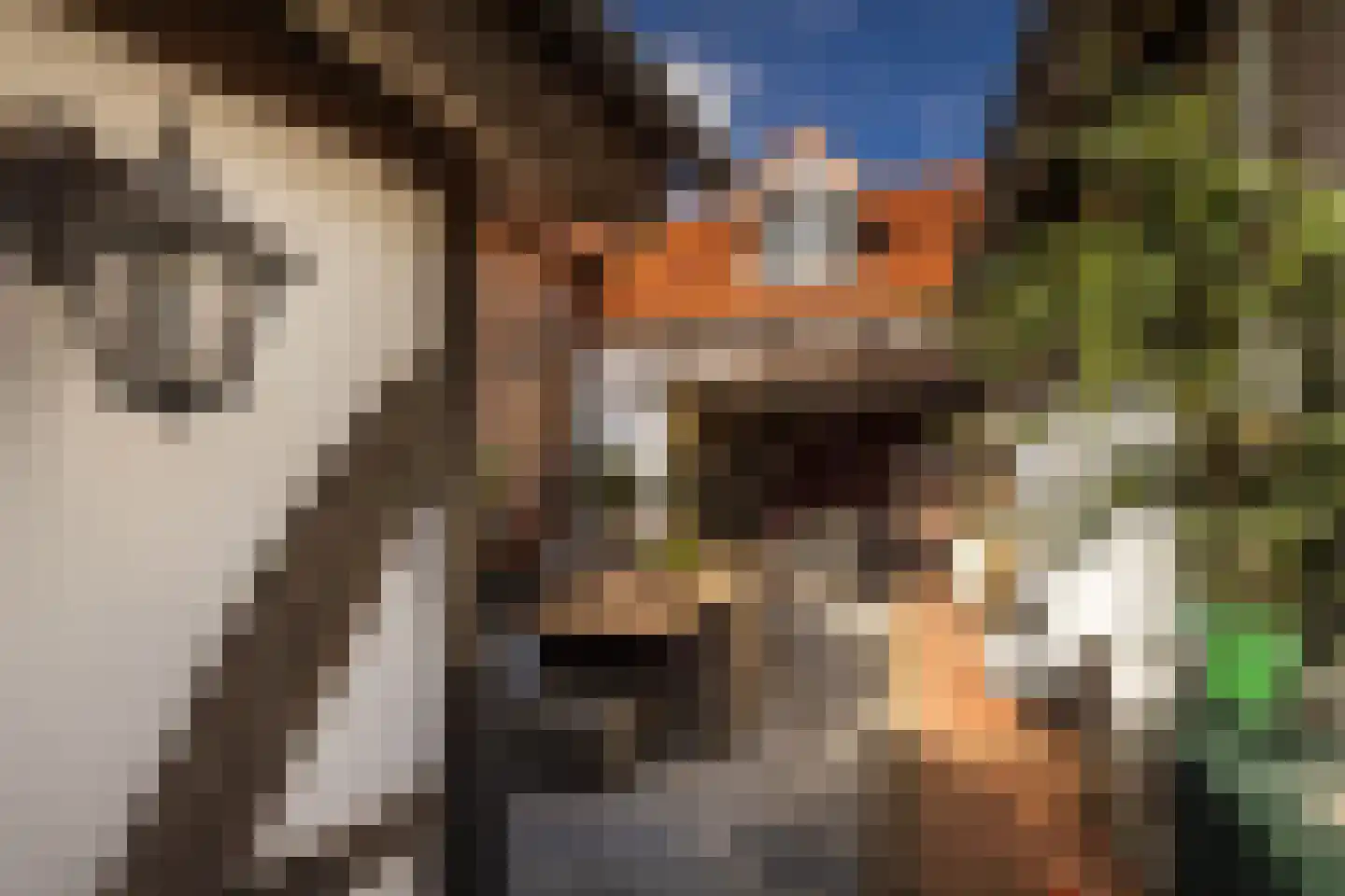 Haverterstraat 16 Nieuwstadt thumbnail 40
