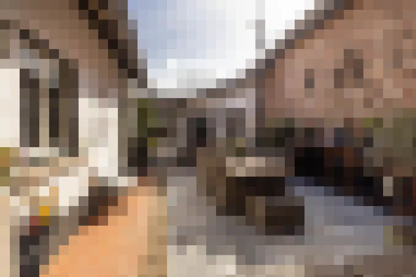 Haverterstraat 16 Nieuwstadt thumbnail 41