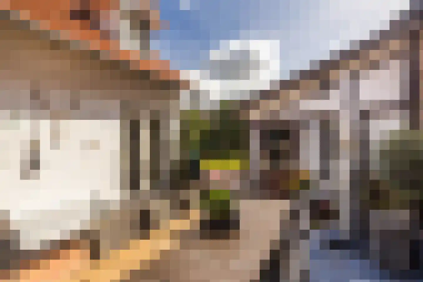 Haverterstraat 16 Nieuwstadt thumbnail 43