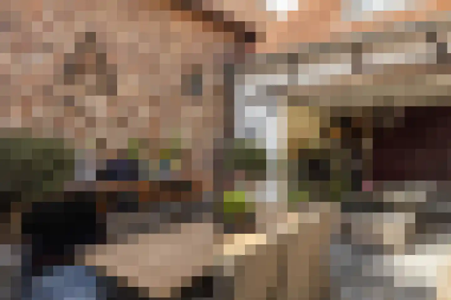 Haverterstraat 16 Nieuwstadt thumbnail 45