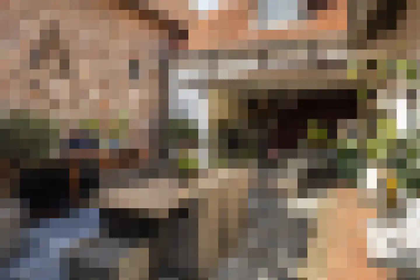 Haverterstraat 16 Nieuwstadt thumbnail 46