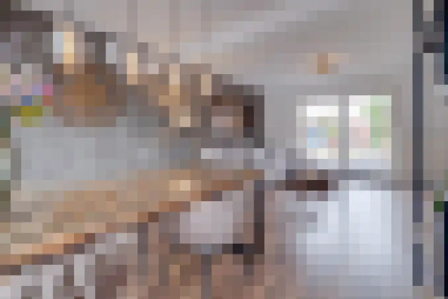 Haverterstraat 18 Koningsbosch thumbnail 21