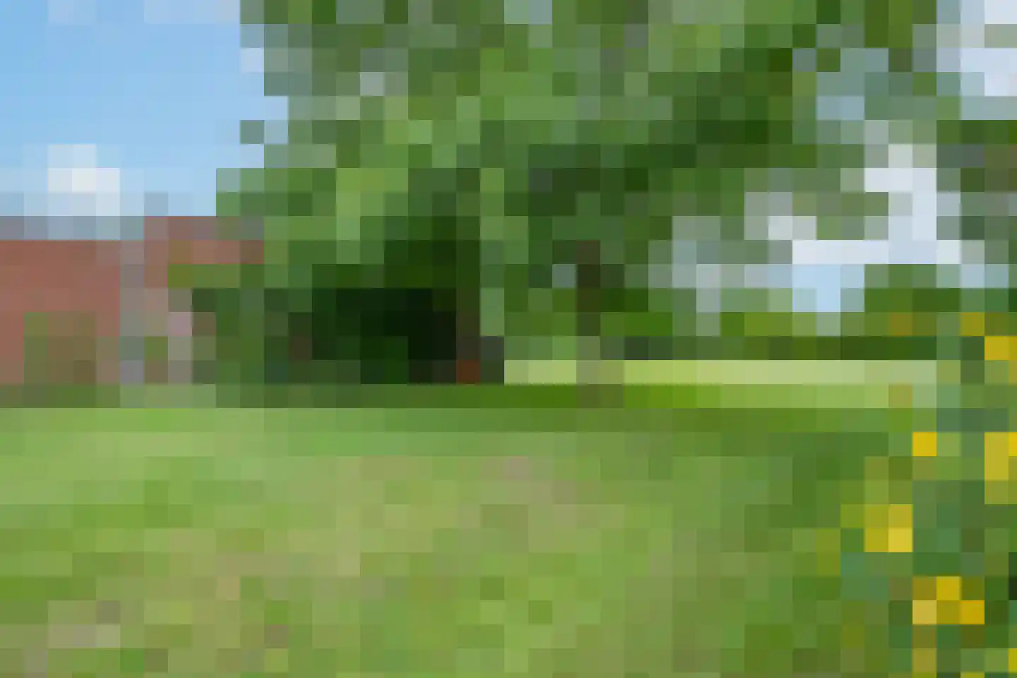 Haverterstraat 18 Koningsbosch thumbnail 6