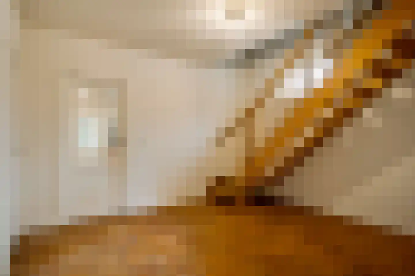 Haverterstraat 19 Koningsbosch thumbnail 5