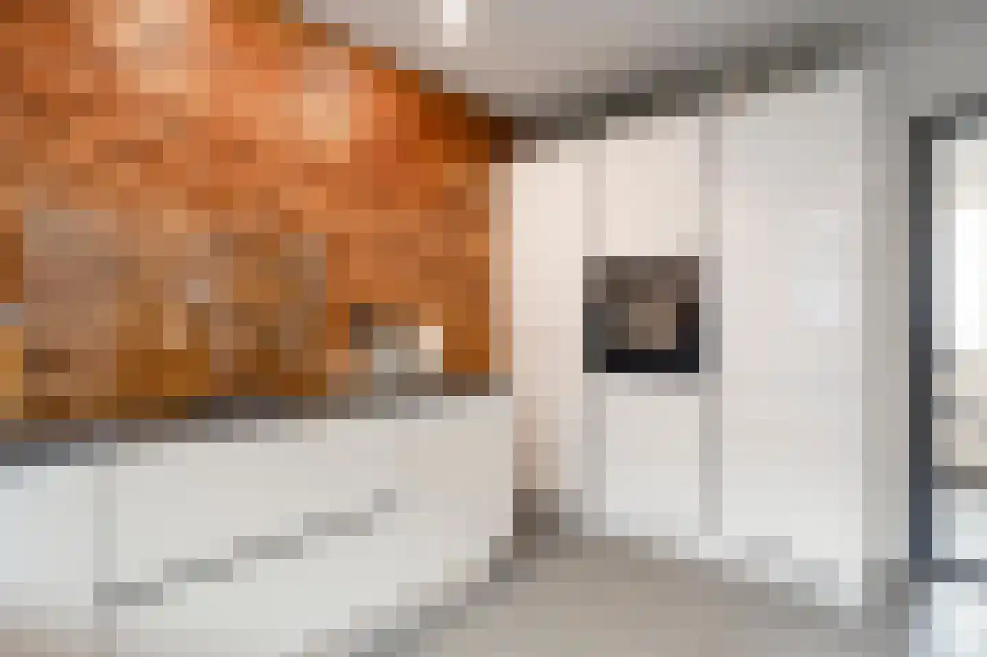 Haverterstraat 21 A Nieuwstadt thumbnail 14