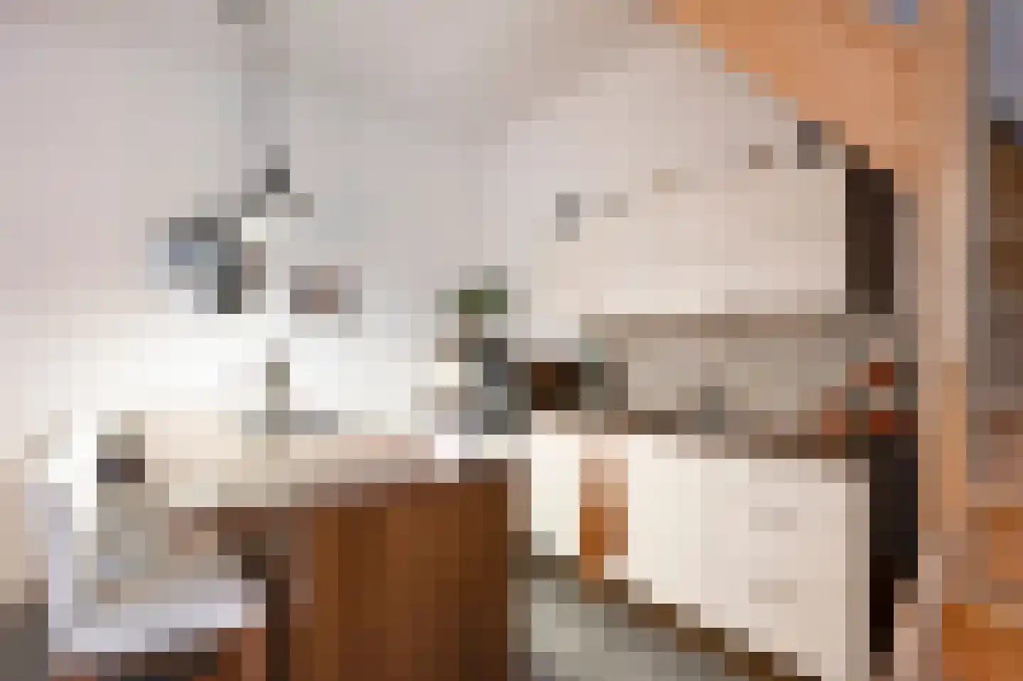 Haverterstraat 21 A Nieuwstadt thumbnail 26