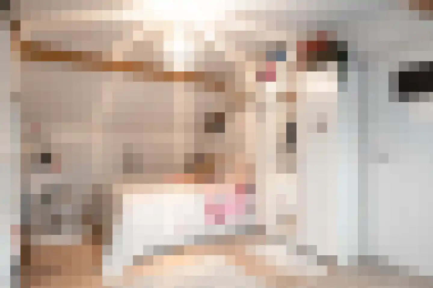 Haverterstraat 21 A Nieuwstadt thumbnail 35