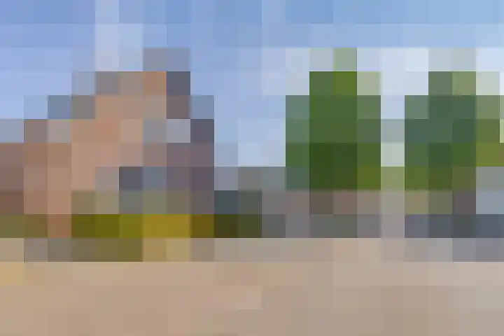 Haverterstraat 4 Koningsbosch thumbnail 30