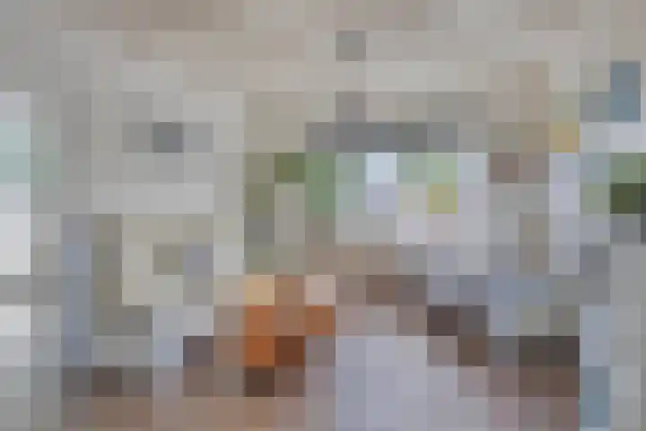 Haverterstraat 4 Koningsbosch thumbnail 7