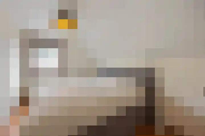 Haverterstraat 41 Koningsbosch thumbnail 34