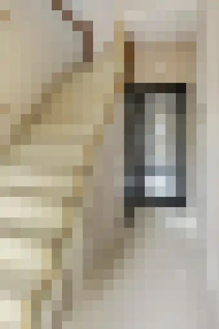 Haverterstraat 41 Koningsbosch thumbnail 6