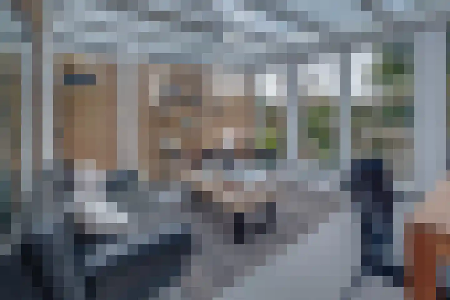 Haverterstraat 64 Koningsbosch thumbnail 34