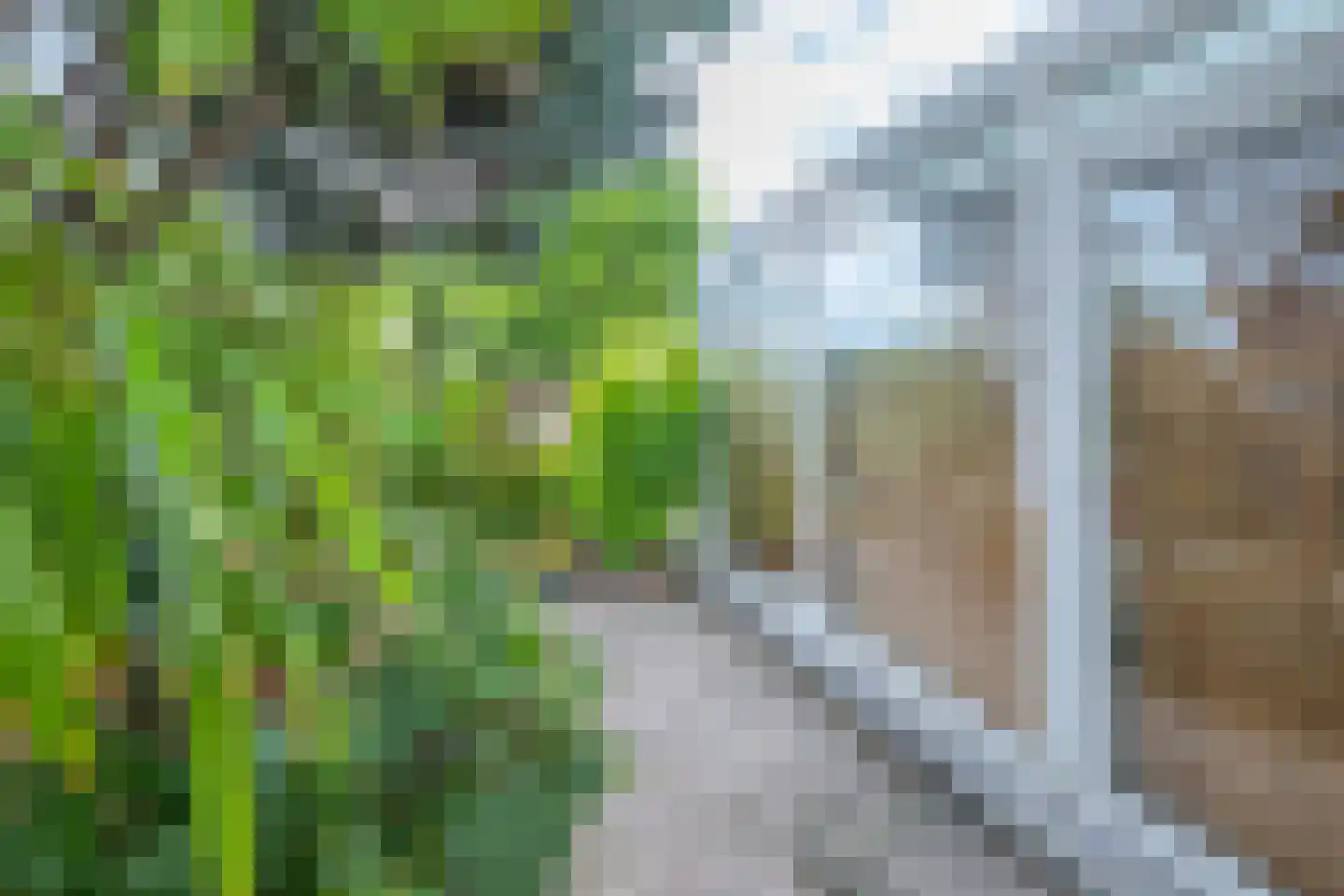 Haverterstraat 64 Koningsbosch thumbnail 37