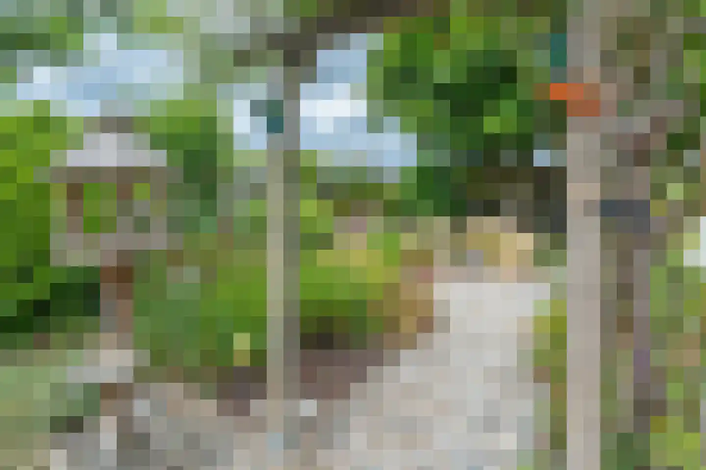 Haverterstraat 64 Koningsbosch thumbnail 43