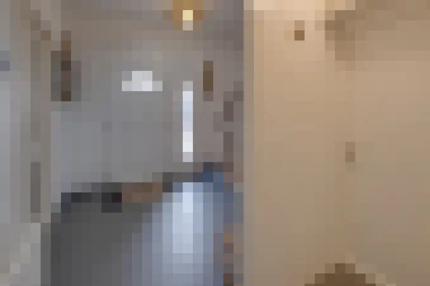 Haverterstraat 64 Koningsbosch thumbnail 7