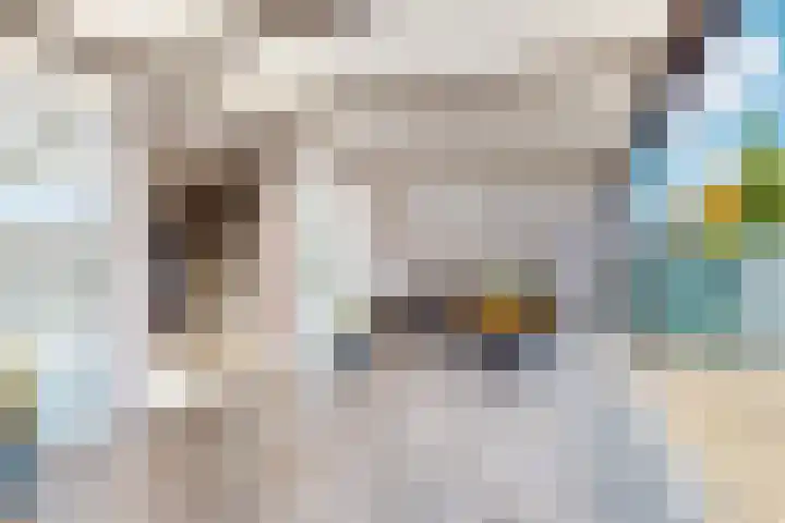 Haverterweg 16 Nieuwstadt thumbnail 30