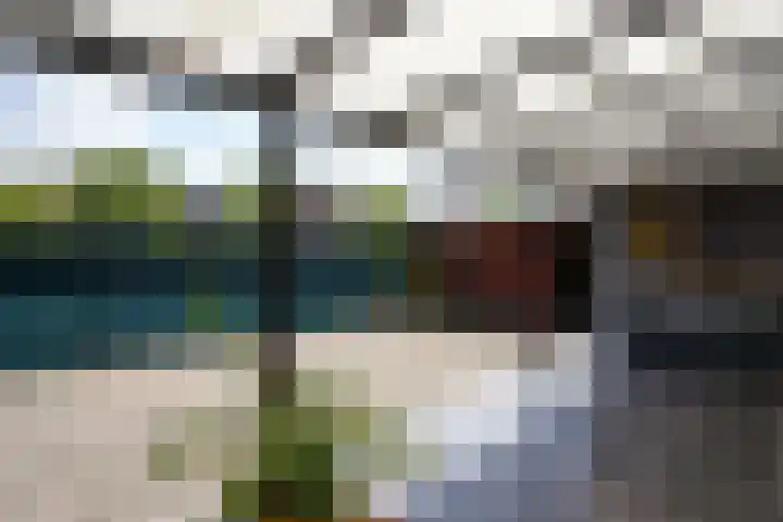 Haverterweg 16 Nieuwstadt thumbnail 35