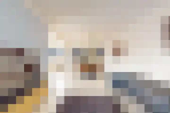 Haverterweg 16 Nieuwstadt thumbnail 5