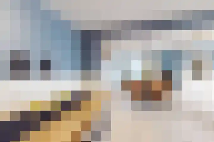 Haverterweg 16 Nieuwstadt thumbnail 7