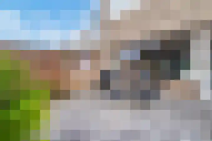 Haverveld 1 Veenendaal thumbnail 21