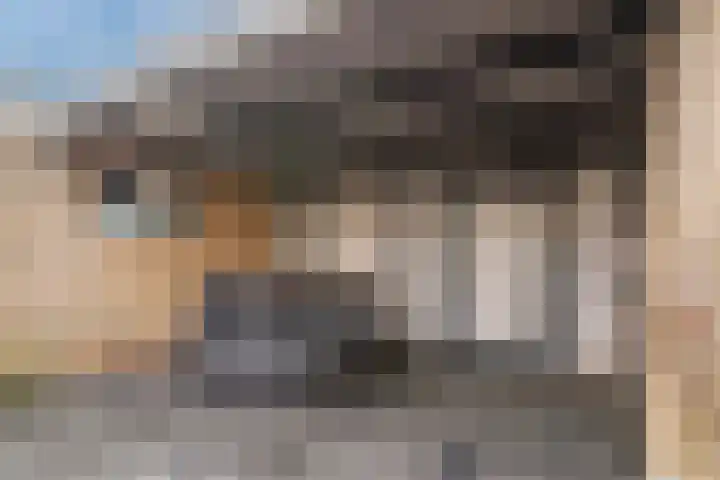 Haverveld 1 Veenendaal thumbnail 25