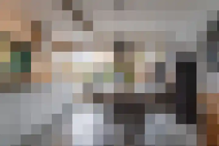 Haverveld 1 Veenendaal thumbnail 7