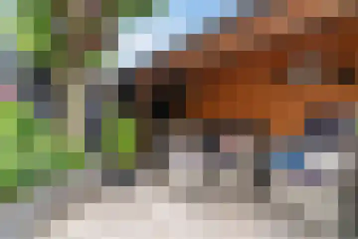 Haverveld 28 Veenendaal thumbnail 33