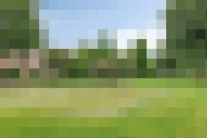 Haverveld 39 Bergschenhoek thumbnail 34