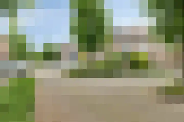 Haverveld 39 Bergschenhoek thumbnail 5