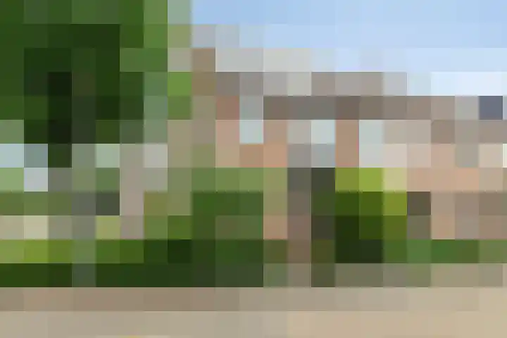 Haverveld 39 Bergschenhoek thumbnail 6