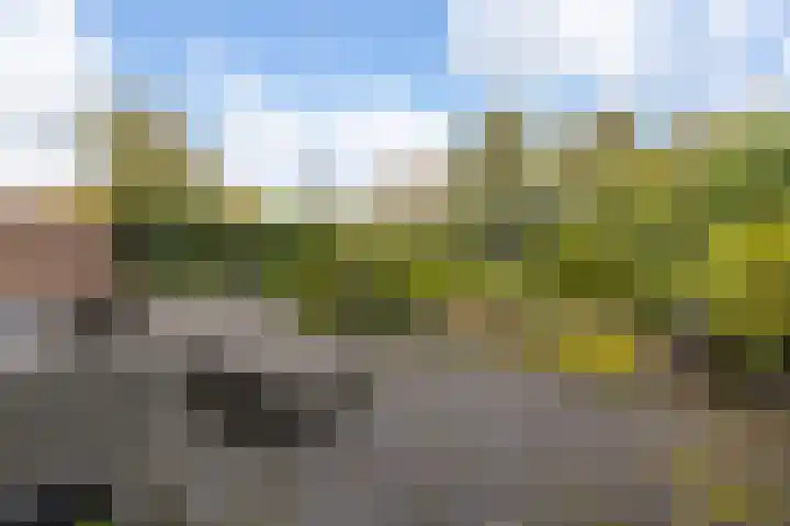 Haverveld 4 Veenendaal thumbnail 30