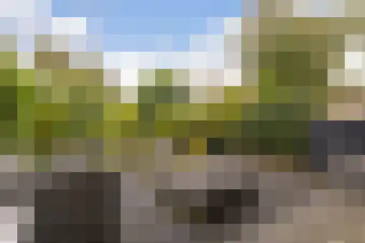 Haverveld 4 Veenendaal thumbnail 31