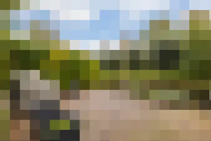 Haverveld 4 Veenendaal thumbnail 32