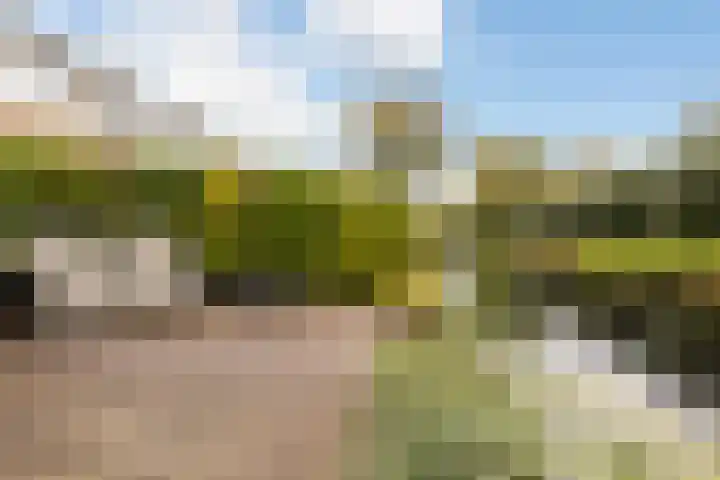 Haverveld 4 Veenendaal thumbnail 33