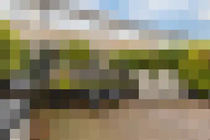 Haverveld 4 Veenendaal thumbnail 34