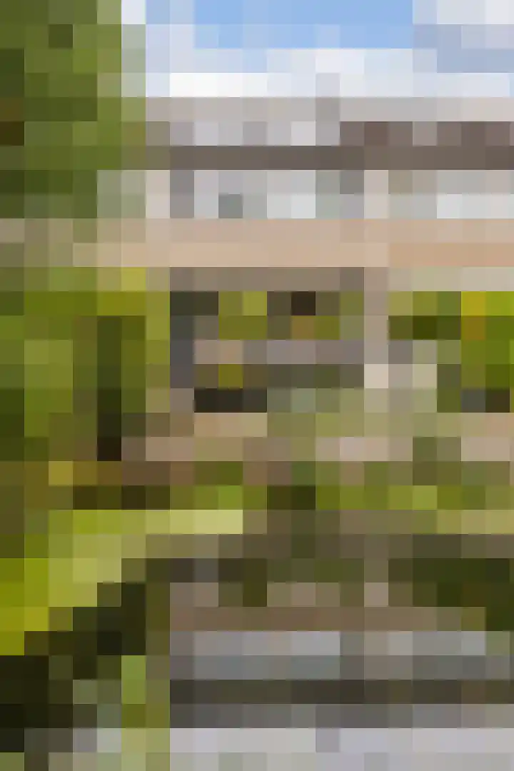 Haverveld 4 Veenendaal thumbnail 35
