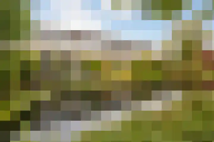 Haverveld 4 Veenendaal thumbnail 37