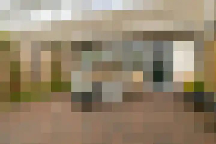 Haverveld 4 Veenendaal thumbnail 4