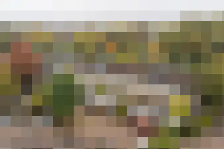 Haverveld 4 Veenendaal thumbnail 40