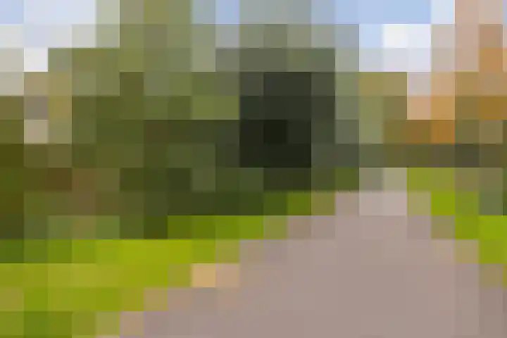 Haverveld 4 Veenendaal thumbnail 42