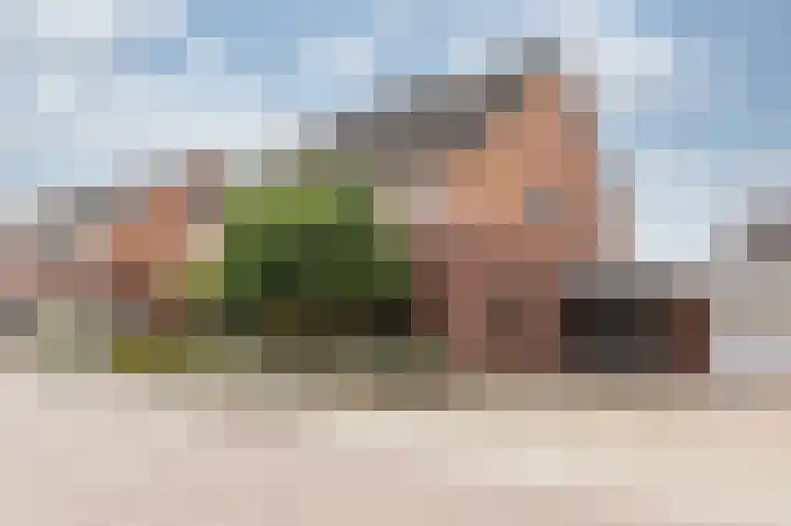Haverveld 55 Didam thumbnail 4