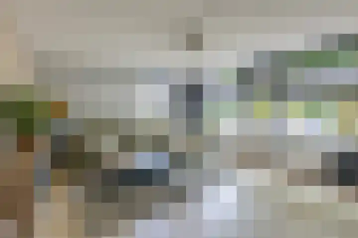 Haverveld 55 Didam thumbnail 8