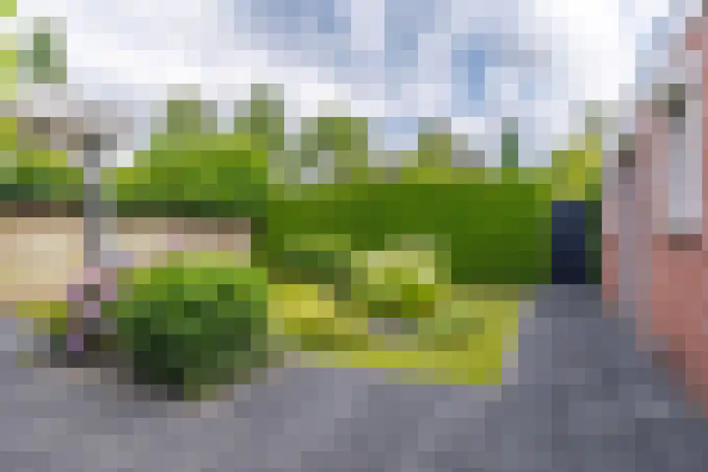 Haverveld 59 Didam thumbnail 14