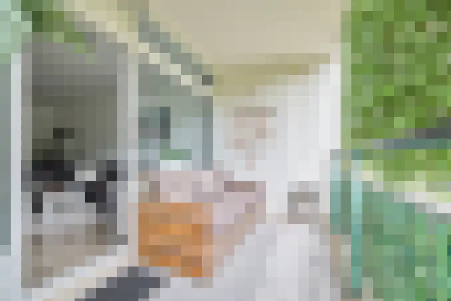 Haverweerd 1 Soest thumbnail 23