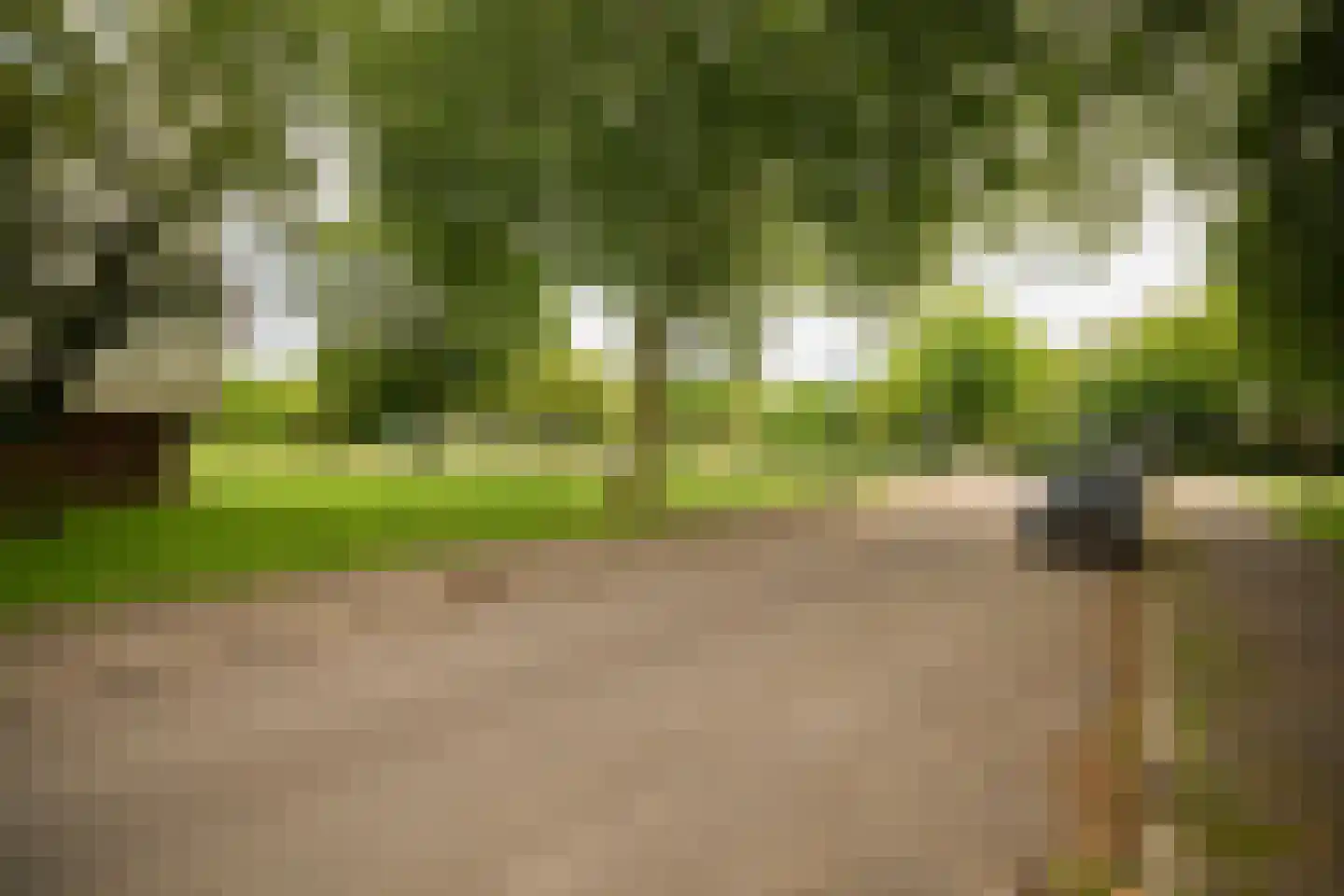 Haverweerd 1 Soest thumbnail 26