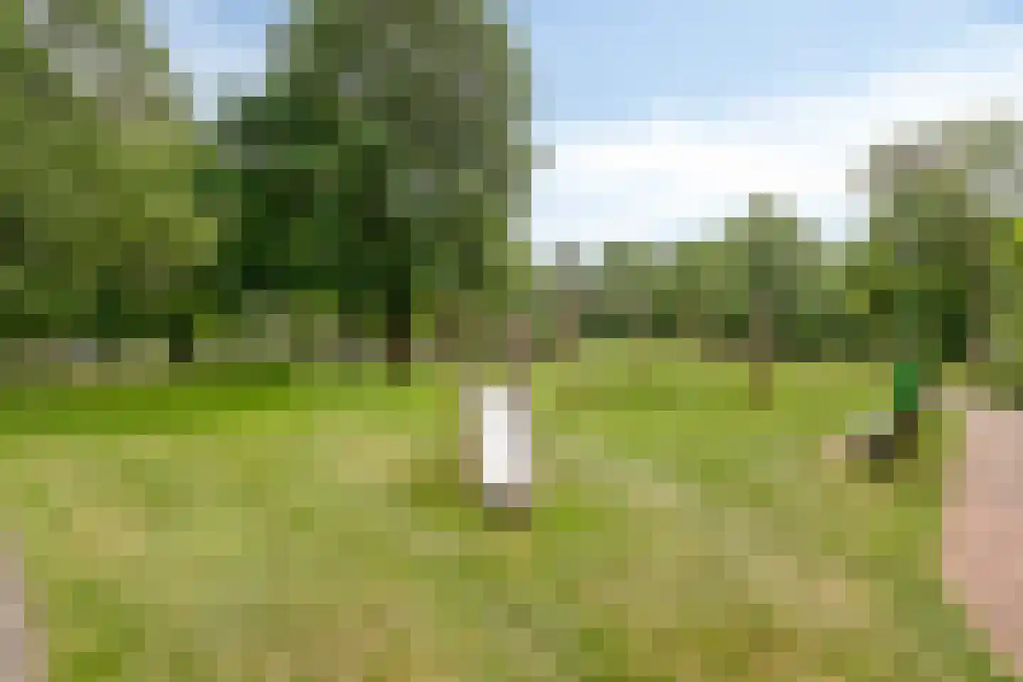 Haverweerd 103 Soest thumbnail 27