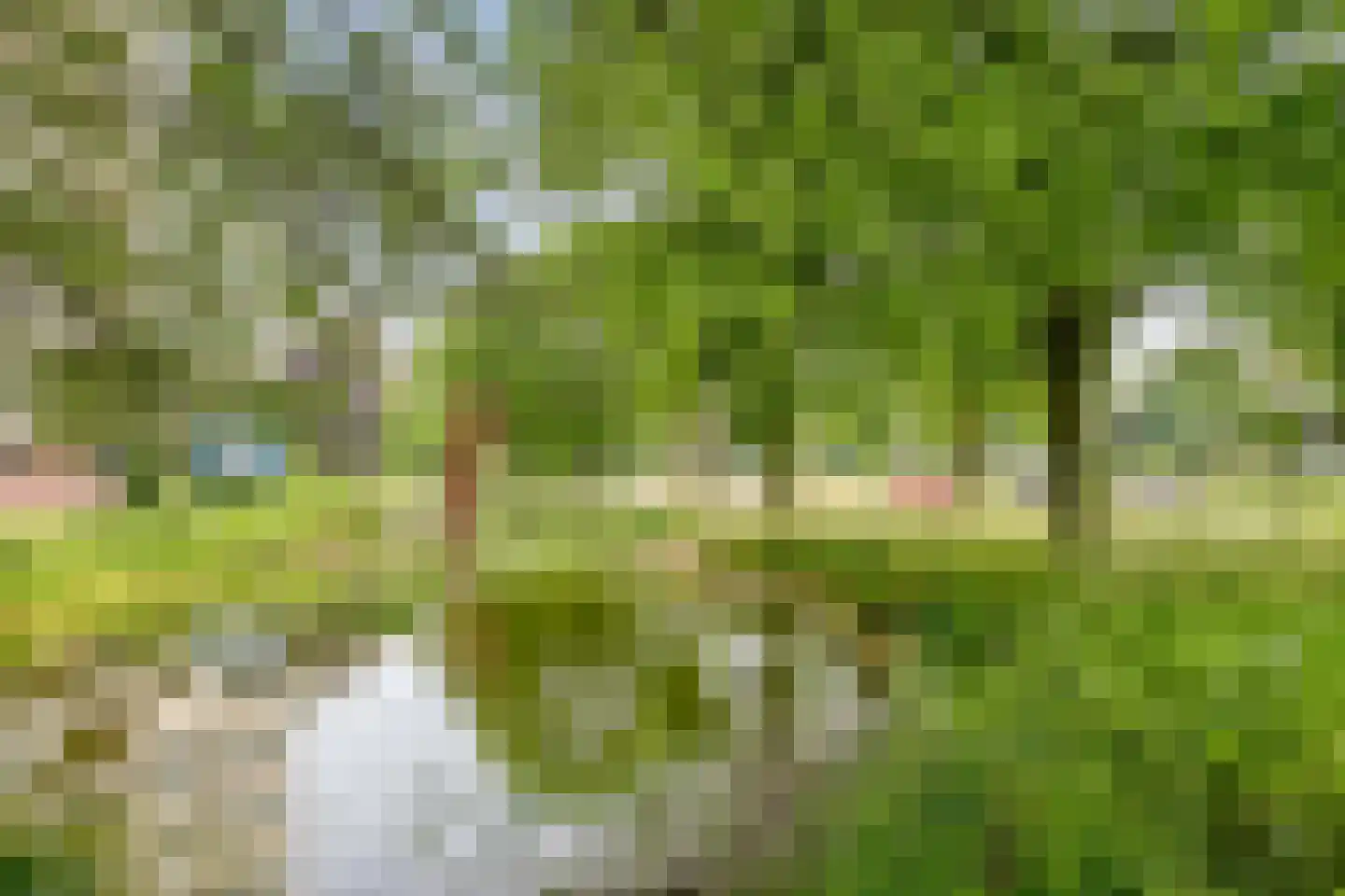 Haverweerd 103 Soest thumbnail 28