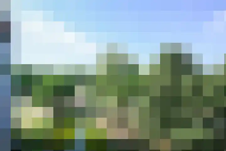 Haverweerd 109 A Soest thumbnail 14